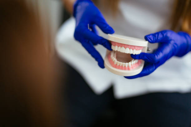 Professional Holistic Dental Care Services in Alta, IA